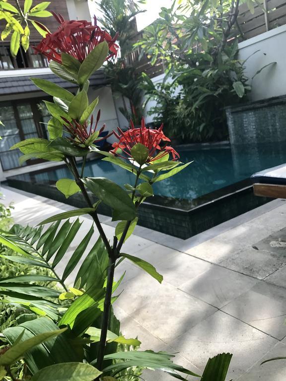 Villa Mudha 3 Sanur Kültér fotó