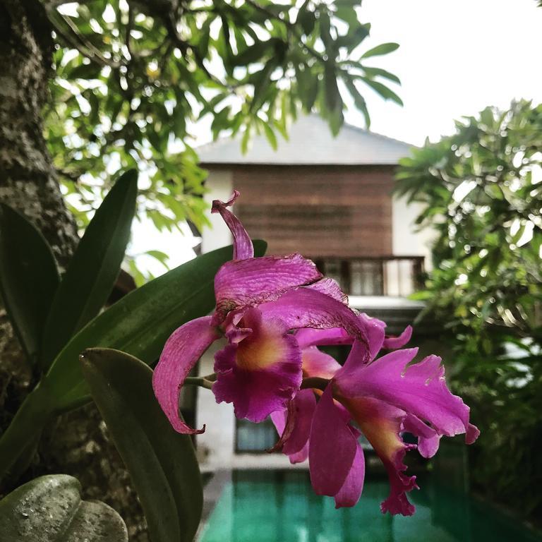 Villa Mudha 3 Sanur Kültér fotó